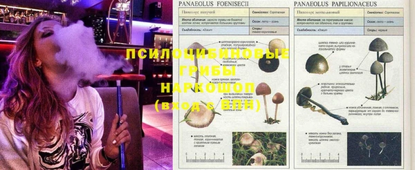 прущий лед Балахна