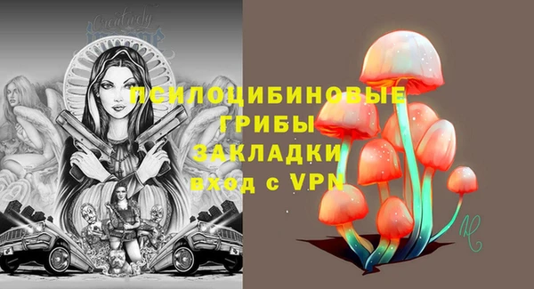 ГАЛЛЮЦИНОГЕННЫЕ ГРИБЫ Балабаново