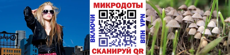 Псилоцибиновые грибы GOLDEN TEACHER Спас-Деменск